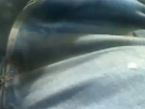 markluvskitty online show from 02/07/25, 02:15