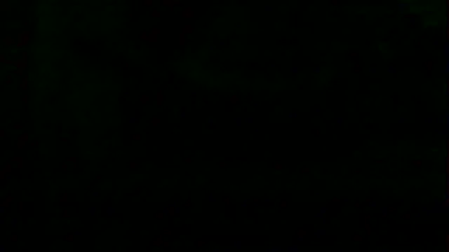 markluvskitty online show from 04/12/26, 07:57