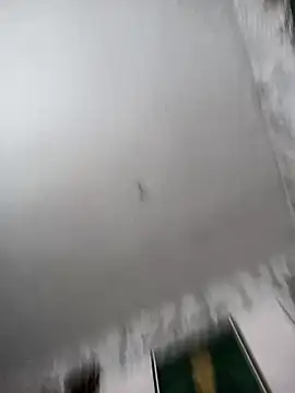 biancchi online show from 02/20/26, 11:11