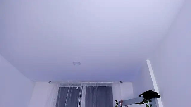 Snapshot of _mia_collins_b_ chatting on 01/29/25, 01:48 mia collins b online show from 01/29/25, 01:48