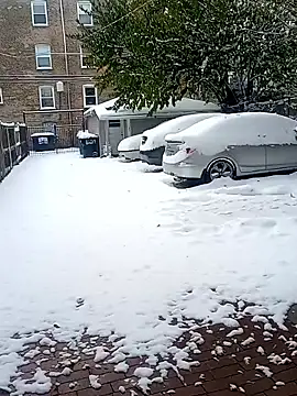 Snapshot of AmazonianMistress chatting on 11/10/25, 07:35 AmazonianMistress online show from 11/10/25, 07:35