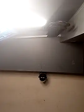 Snapshot of AmazonianMistress chatting on 12/01/25, 02:44 AmazonianMistress online show from 12/01/25, 02:44