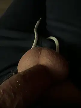 Snapshot of rambetto21 chatting on 12/17/25, 07:53 rambetto21 online show from 12/17/25, 07:53