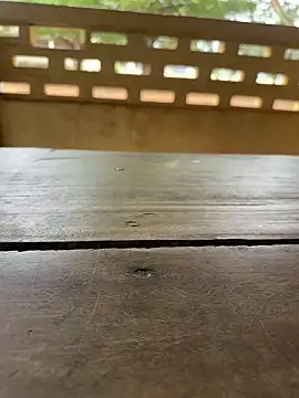 Black-mamba-madingo online show from 09/29/25, 10:09