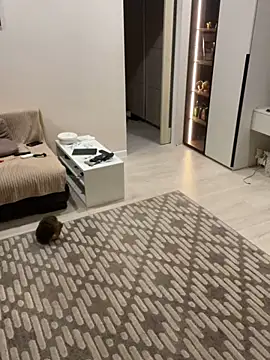 Big Mini online show from 01/23/25, 12:46