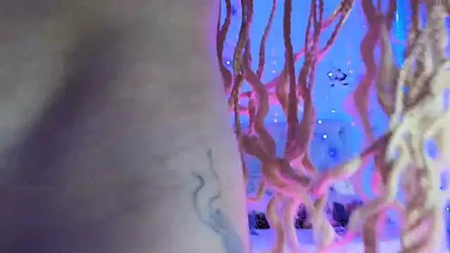 Snapshot of gabbiefoxthx chatting on 02/01/25, 11:58 gabbiefoxthx online show from 02/01/25, 11:58