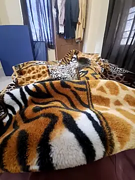 villagb12 online show from 02/13/25, 06:09