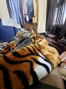 villagb12 online show from 02/14/25, 04:15