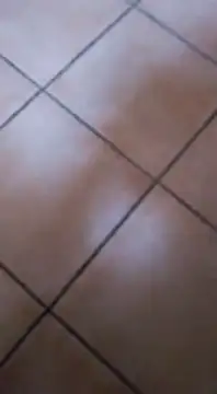 Snapshot of ZorraidaGiroNina chatting on 02/03/25, 04:10 ZorraidaGiroNina online show from 02/03/25, 04:10