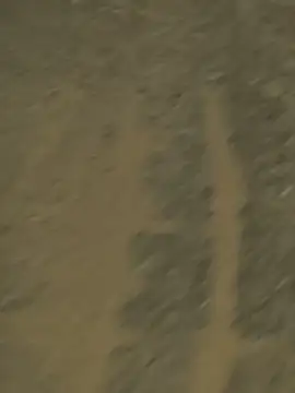 NIAN-er online show from 07/16/26, 02:01