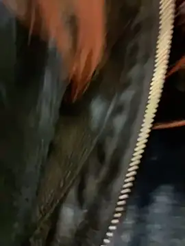 Snapshot of RinaCat chatting on 12/24/24, 08:33 RinaCat online show from 12/24/24, 08:33