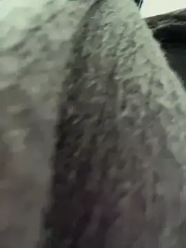 Snapshot of RinaCat chatting on 01/06/25, 05:30 RinaCat online show from 01/06/25, 05:30