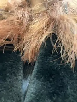 Snapshot of RinaCat chatting on 01/09/25, 05:44 RinaCat online show from 01/09/25, 05:44