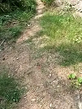 Snapshot of TamizhanKishwin7 chatting on 11/09/25, 08:01 TamizhanKishwin7 online show from 11/09/25, 08:01