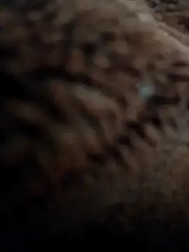 Priya Bong online show from 11/10/25, 03:05