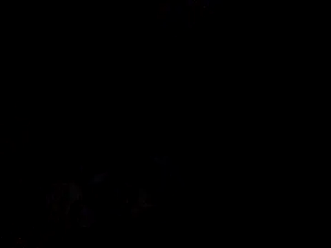 Skinnynerd online show from 01/09/26, 07:59