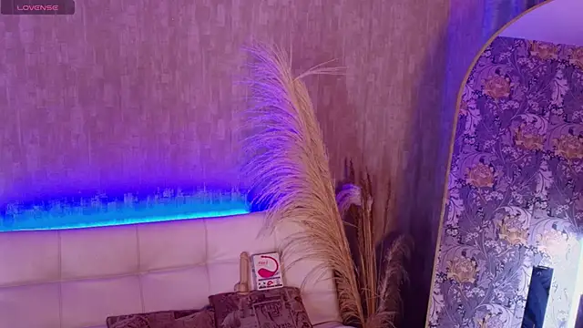 dominic thailor online show from 02/24/26, 03:10