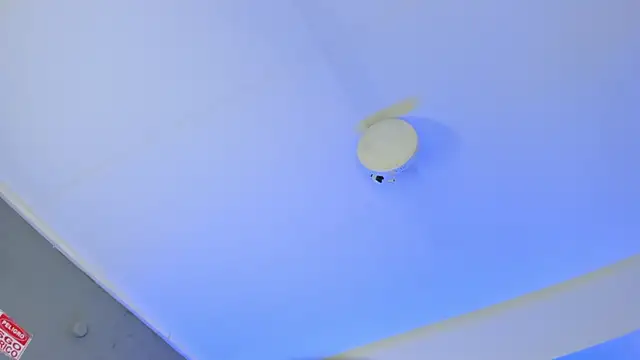 Snapshot of ArigyGomez chatting on 11/14/25, 11:24 ArigyGomez online show from 11/14/25, 11:24