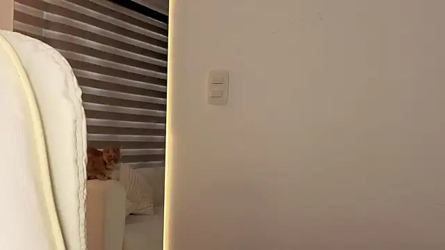 AtheneaRossi online show from 10/28/25, 12:41