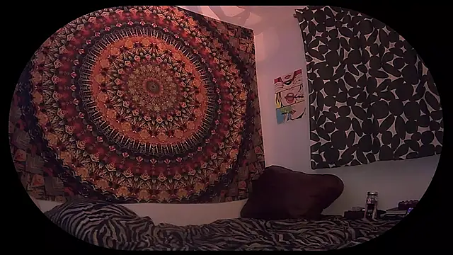 HeyyImHarlowe online show from 03/02/26, 07:09