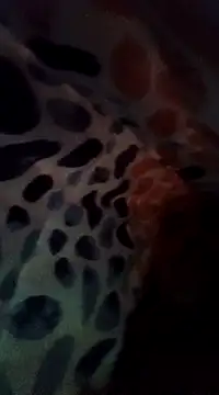 Snapshot of Xoc8_ chatting on 12/08/24, 08:47 Xoc8  online show from 12/08/24, 08:47