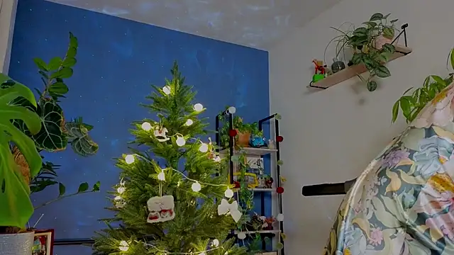  lightmyfire online show from 12/05/25, 04:36