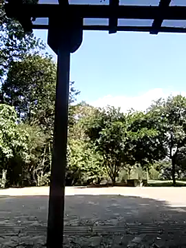 Rob and lizzy online show from 12/06/24, 06:39