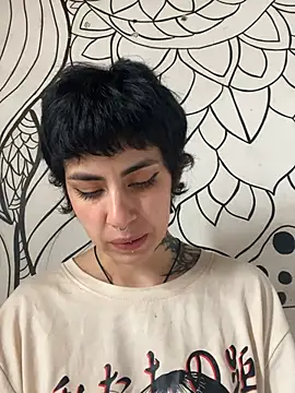  Artemisa X online show from 04/17/26, 04:21