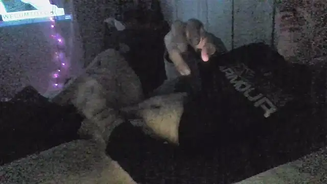 Snapshot of jaxx12369 chatting on 12/05/25, 06:55 jaxx12369 online show from 12/05/25, 06:55