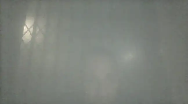 margiale84 online show from 12/17/24, 09:16