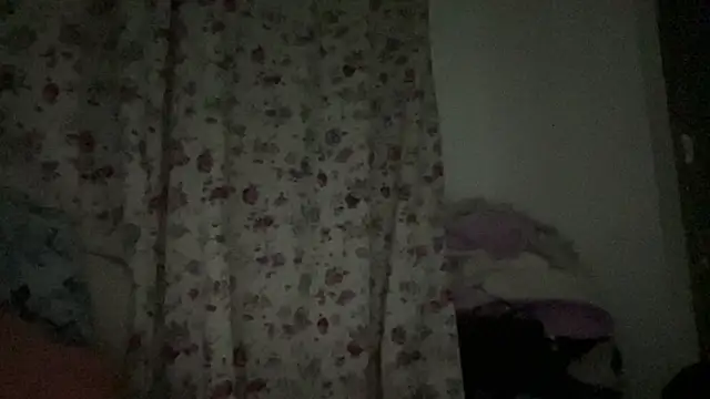 bob petterson online show from 01/26/25, 06:07