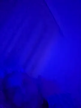 denisxlRo online show from 03/16/25, 08:11