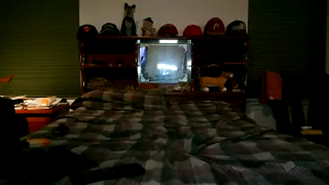 pimpdaddy4ever online show from 11/18/25, 07:24