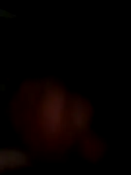 Snapshot of MynameisPaco chatting on 11/11/25, 08:53 MynameisPaco online show from 11/11/25, 08:53