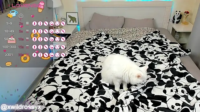 Snapshot of wildrossy chatting on 10/15/25, 06:24 wildrossy online show from 10/15/25, 06:24