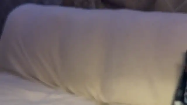 max o max42 online show from 03/01/25, 12:39