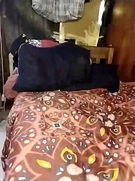 Stallion100 online show from 02/12/25, 08:06