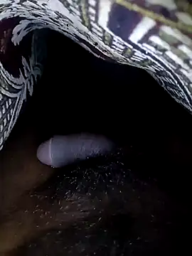 Sweety Tamil boy online show from 12/26/24, 06:54