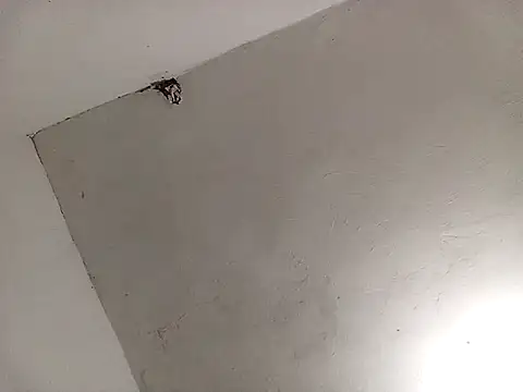 Snapshot of Surreyaa chatting on 02/13/25, 03:39 Surreyaa online show from 02/13/25, 03:39