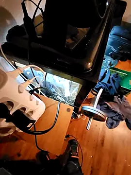 Snapshot of 0815lukas2024 chatting on 12/02/24, 08:22 0815lukas2024 online show from 12/02/24, 08:22