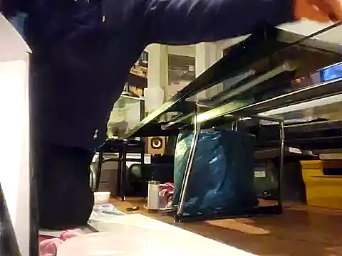 Snapshot of 0815lukas2024 chatting on 12/07/24, 03:25 0815lukas2024 online show from 12/07/24, 03:25