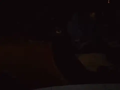 Snapshot of 0815lukas2024 chatting on 01/16/25, 06:59 0815lukas2024 online show from 01/16/25, 06:59