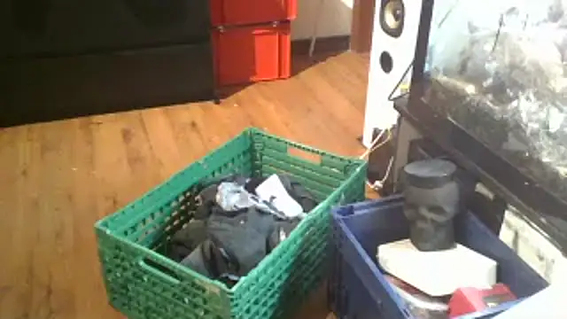 Snapshot of 0815lukas2024 chatting on 01/16/25, 11:59 0815lukas2024 online show from 01/16/25, 11:59