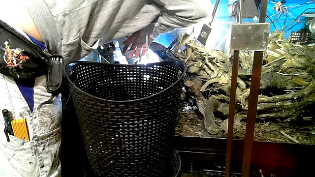 Snapshot of 0815lukas2024 chatting on 10/07/25, 09:23 0815lukas2024 online show from 10/07/25, 09:23