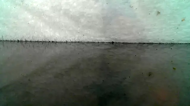 Snapshot of 0815lukas2024 chatting on 10/22/25, 09:03 0815lukas2024 online show from 10/22/25, 09:03