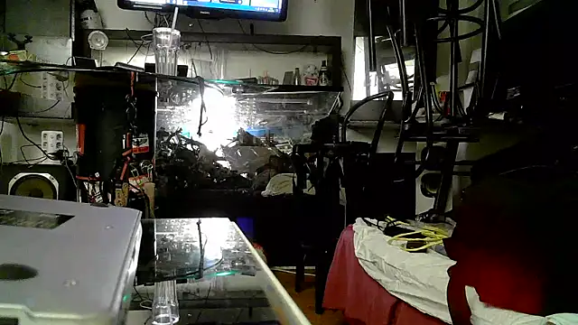 Snapshot of 0815lukas2024 chatting on 11/03/25, 05:03 0815lukas2024 online show from 11/03/25, 05:03