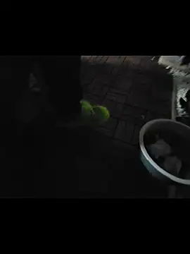 Snapshot of 0815lukas2024 chatting on 11/16/25, 11:54 0815lukas2024 online show from 11/16/25, 11:54