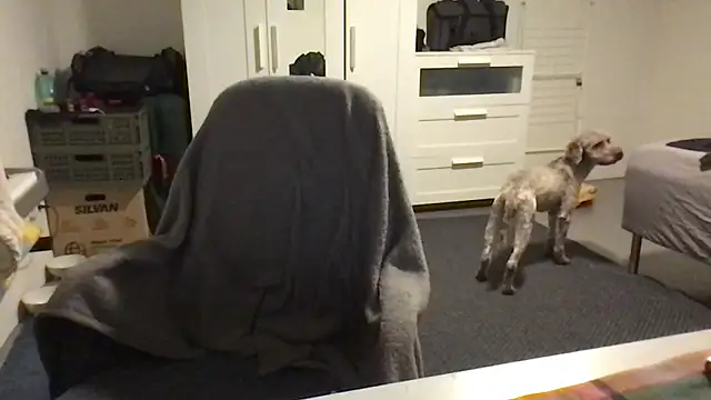 Totipro69 online show from 02/16/25, 07:05