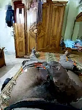 ListedLoin online show from 03/14/26, 09:15