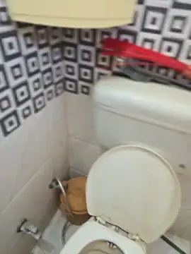 Loveboycurvy online show from 04/02/26, 04:43